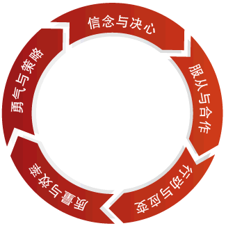 ڊZʳ