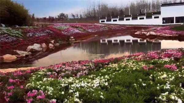 ۝Oկȼٴ
